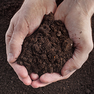 Top Soil Aggregates in Bury St Edmunds
